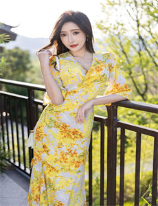 黑狐之风影电视剧全集
